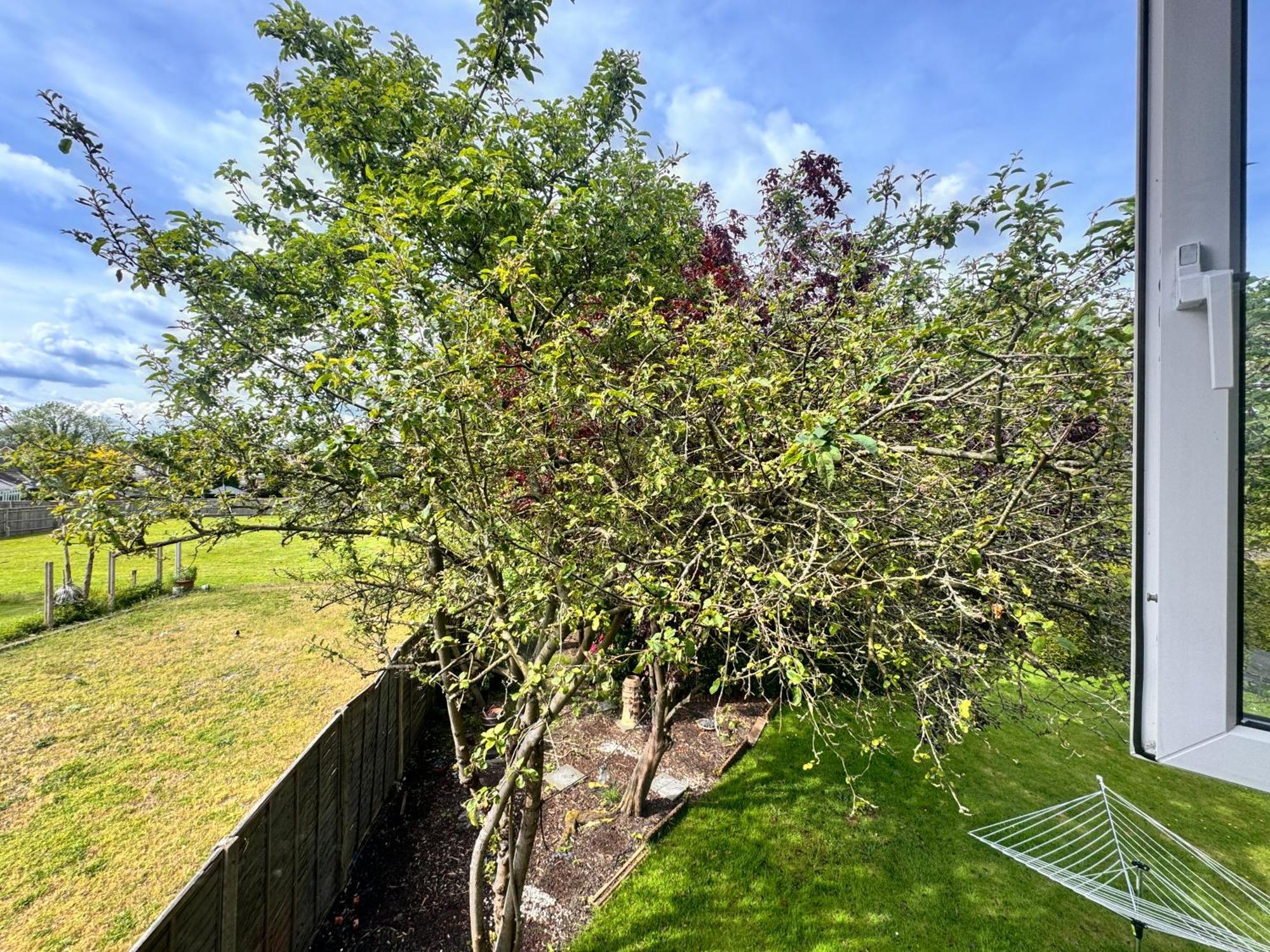 High Trees Guest House Gatwick Horley Exteriér fotografie